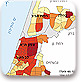 בני 65 ומעלה בעיר תל-אביב – יפו, 1999 (באחוזים)